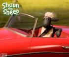 Овцы Шон вождения красный кабриолет